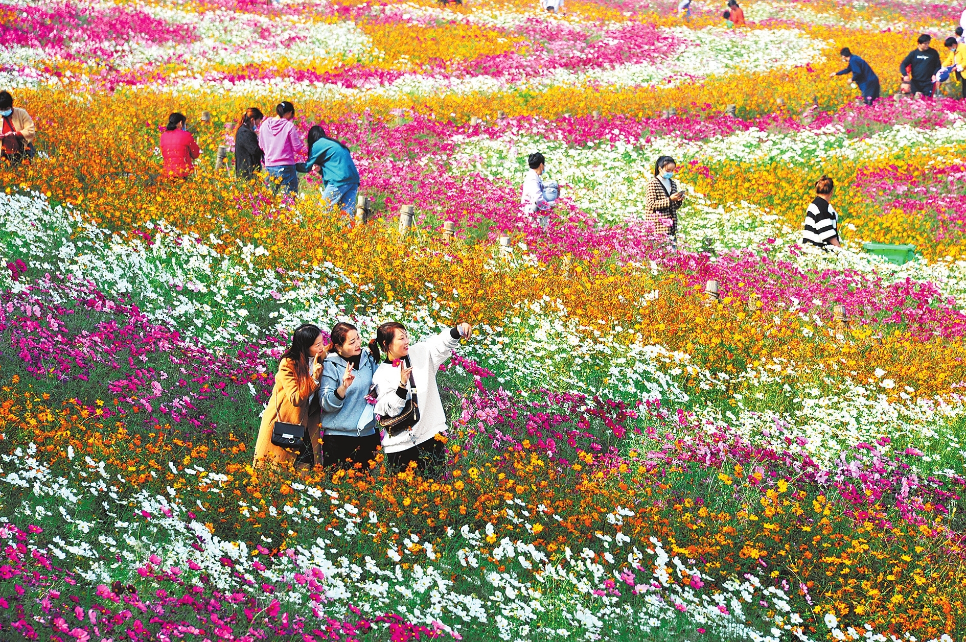 休閑農(nóng)業(yè)引客來(lái)