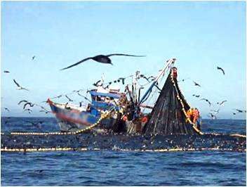 全國漁業(yè)安全事故直報(bào)系統(tǒng)將于2022年1月1日啟用