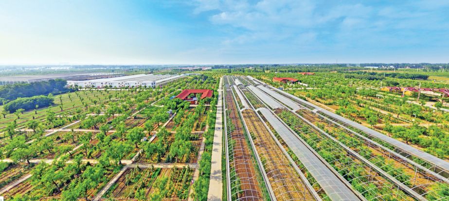 河南：從脫貧攻堅(jiān)的主戰(zhàn)場奔向鄉(xiāng)村振興的田野