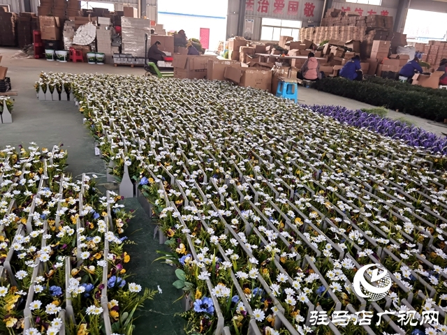 河南駐馬店:仿真花成農(nóng)民致富花