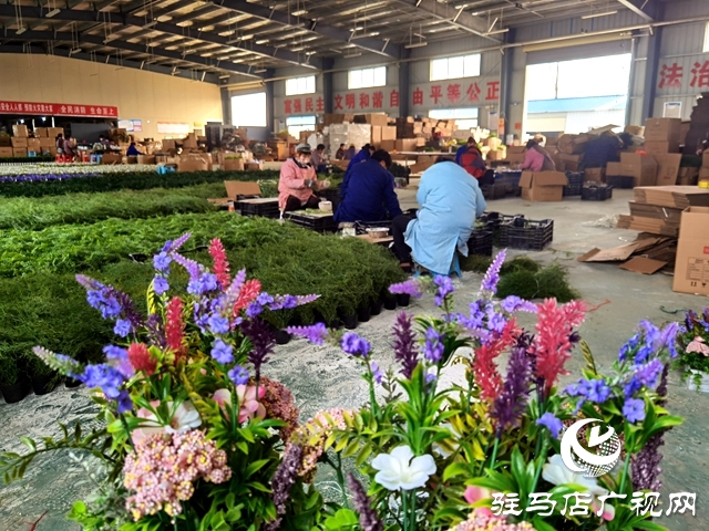 河南駐馬店:仿真花成農(nóng)民致富花