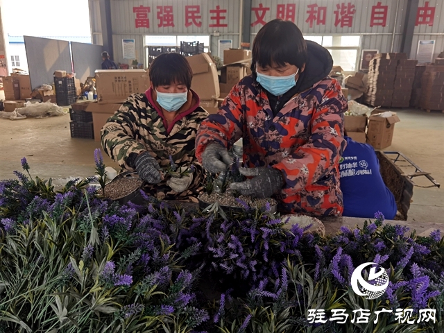 河南駐馬店:仿真花成農(nóng)民致富花