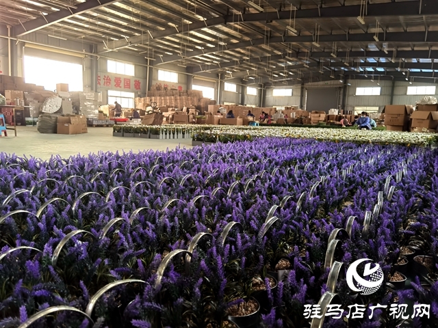 河南駐馬店:仿真花成農(nóng)民致富花