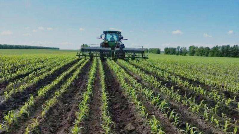 化肥價(jià)格明顯上漲創(chuàng)新高，明年春耕化肥有保障嗎？