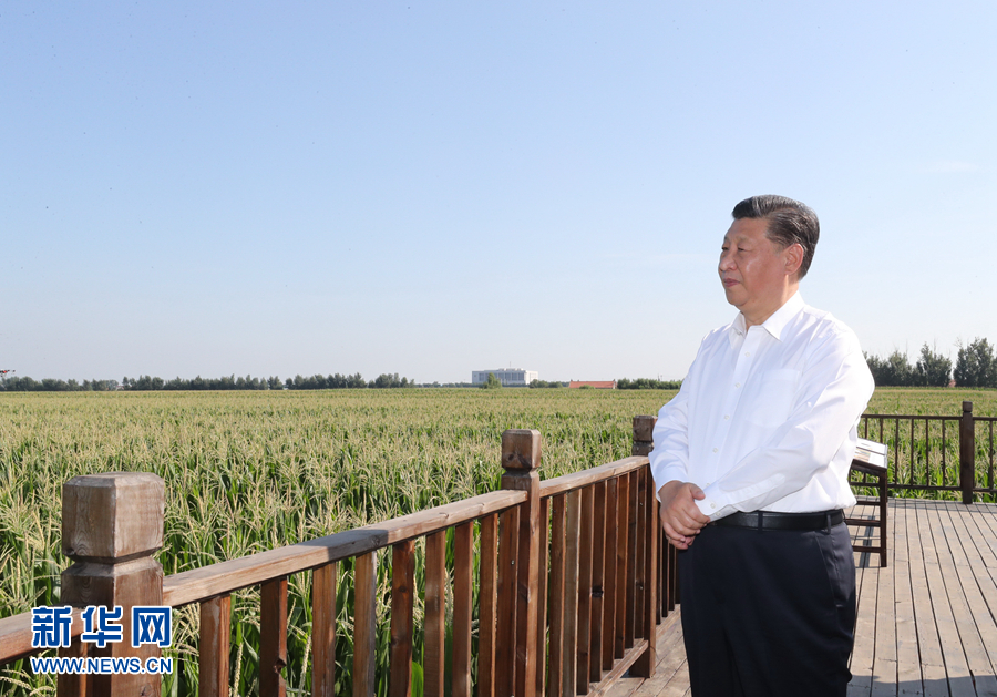 學(xué)習(xí)進(jìn)行時(shí)丨談到這個(gè)問題，習(xí)近平每句話都很重