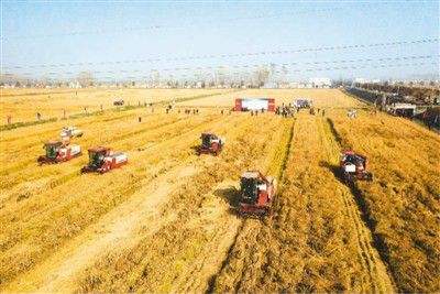 一系列節(jié)糧減損政策措施出臺——節(jié)糧減損增加“無形良田”