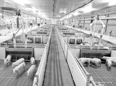 連續(xù)5年糧產(chǎn)超1300億斤變“糧田”為“良田”河南要怎么做？