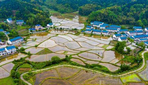 零容忍！非法占用永久基本農(nóng)田5畝以上就可能被判刑