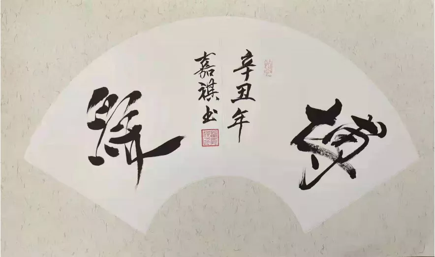 16歲少年《淺談詩書畫》引關(guān)注，中央文史館館員趙德潤為其點贊