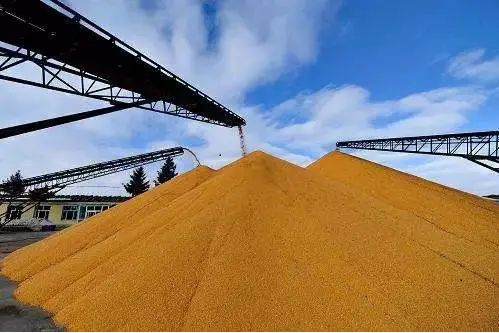 中儲糧：堅(jiān)決扛穩(wěn)服務(wù)保障國家糧食安全的政治責(zé)任