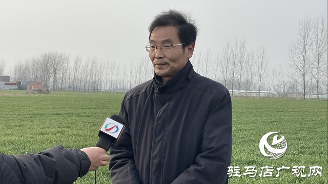 駐馬店市農業(yè)農村局:加強春季麥田管理 助力夏糧豐收