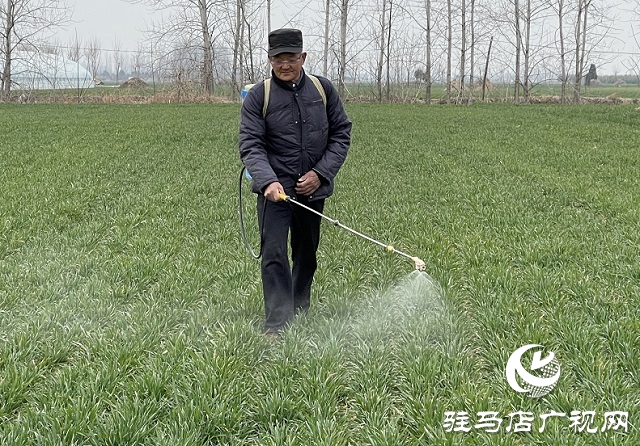 駐馬店市農業(yè)農村局:加強春季麥田管理 助力夏糧豐收