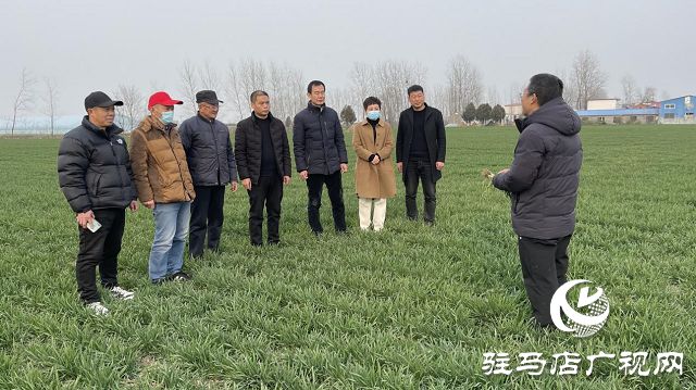 駐馬店市農業(yè)農村局:加強春季麥田管理 助力夏糧豐收