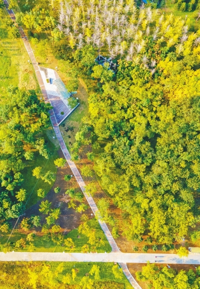 我省推進(jìn)科學(xué)綠化，推行屋頂綠化、建小微公園&hellip;&hellip;增加城市綠地