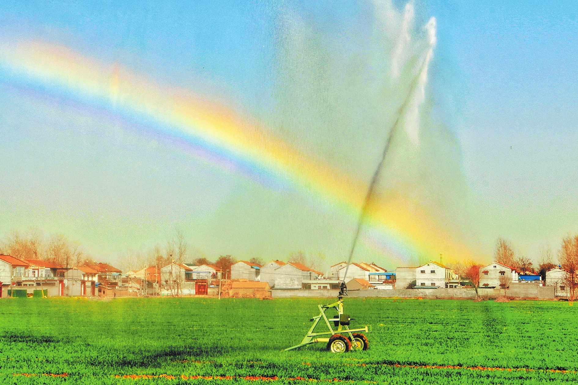 今年河南糧食和物資儲備工作重點(diǎn)敲定 打造優(yōu)質(zhì)糧食工程升級版