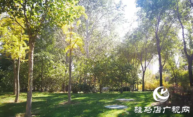 河南今年已造林132萬畝