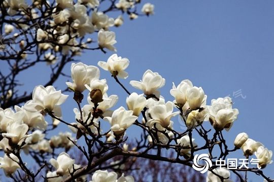 注意！冷空氣來(lái)了，部分地區(qū)降溫可達(dá)12℃以上