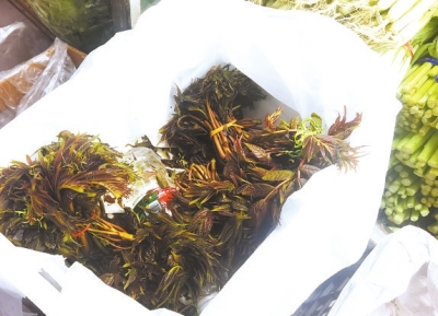 時令野菜走進超市 哪些新鮮野菜可嘗？快收好這份野菜食譜