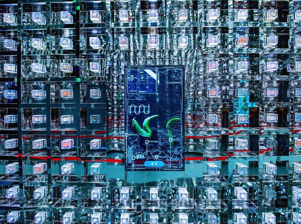 春事看農(nóng)桑丨播下好種子，豐收有底氣