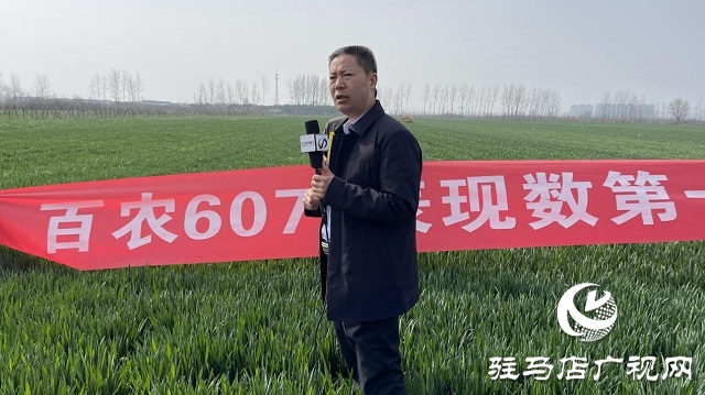 當日預訂三萬畝地！六豐農(nóng)業(yè)百農(nóng)607觀摩訂貨會火爆收官