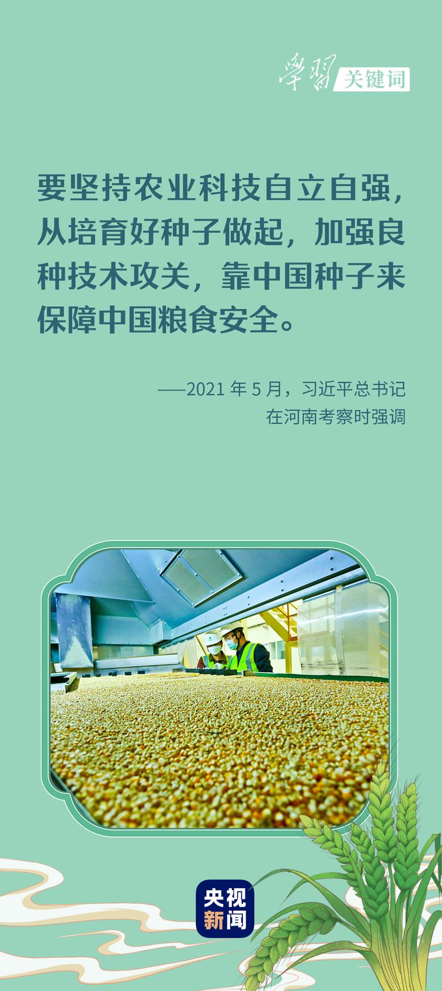 春事看農(nóng)桑丨播下好種子，豐收有底氣