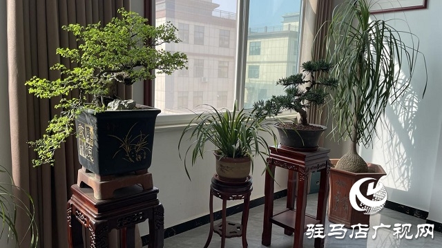 當日預訂三萬畝地！六豐農(nóng)業(yè)百農(nóng)607觀摩訂貨會火爆收官