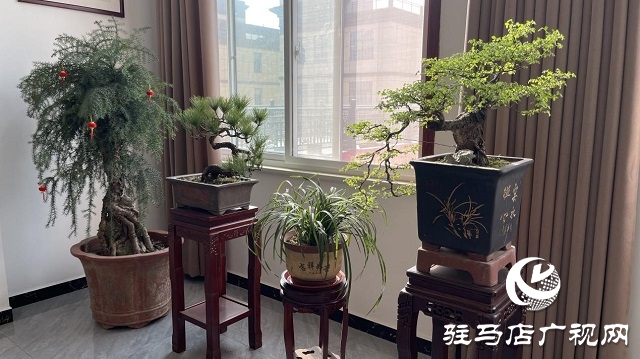 當日預訂三萬畝地！六豐農(nóng)業(yè)百農(nóng)607觀摩訂貨會火爆收官