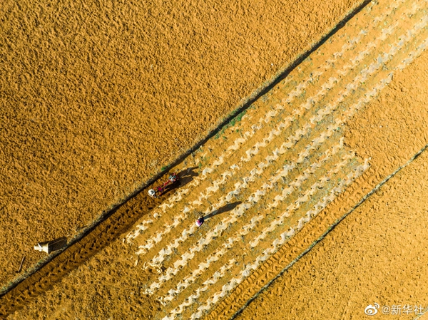 100萬噸國家鉀肥儲備投放保春耕