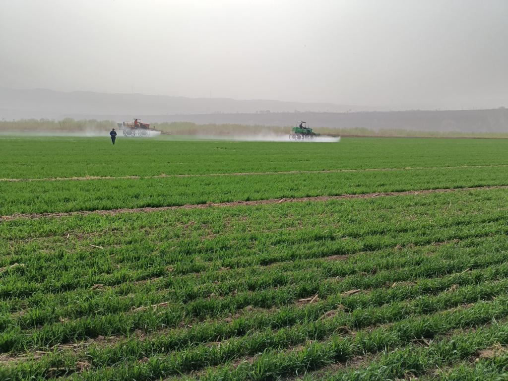 “藏糧于地，藏糧于技”：中國(guó)力保端牢糧食“飯碗”