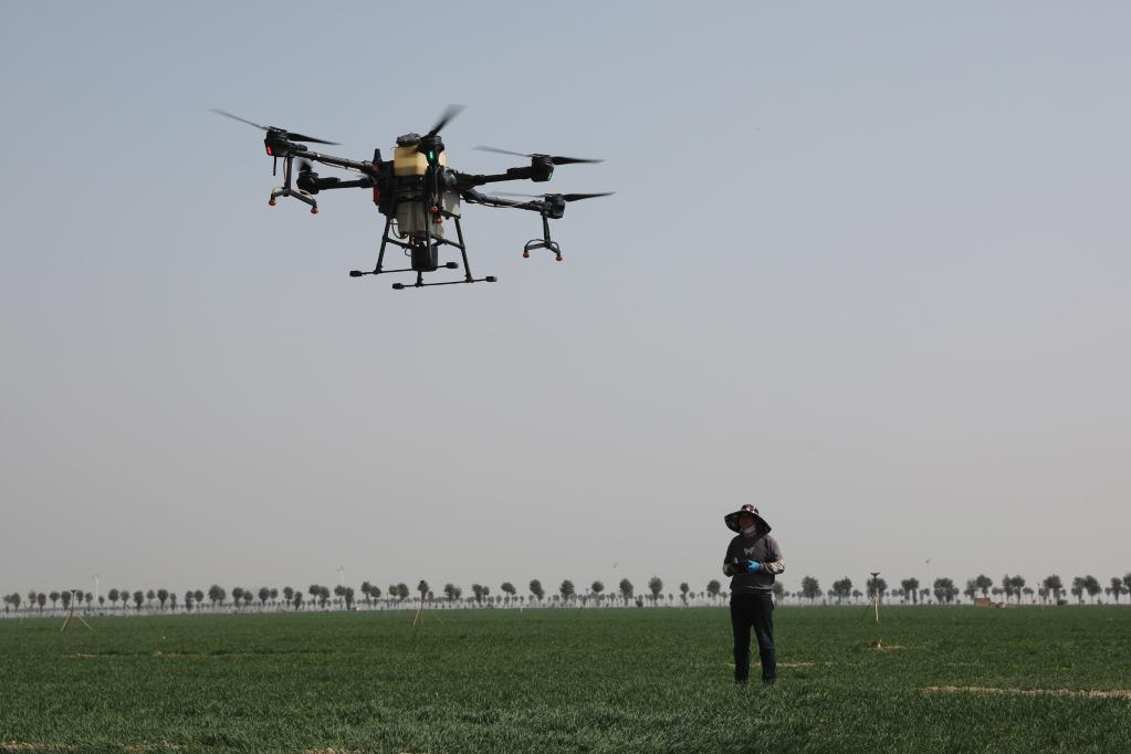 看！農(nóng)田里的科技范兒