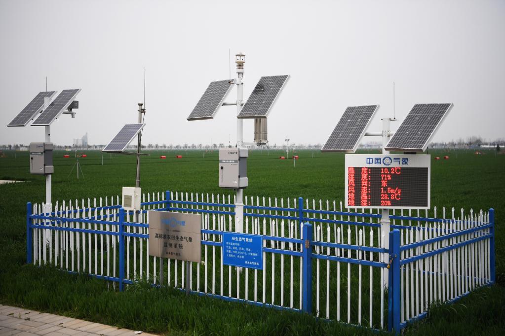 看，這片“超級(jí)農(nóng)田”