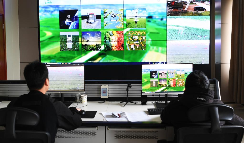 看，這片“超級(jí)農(nóng)田”