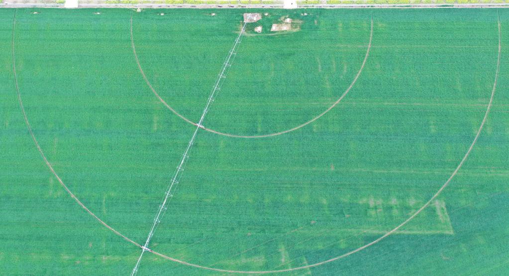 看，這片“超級(jí)農(nóng)田”