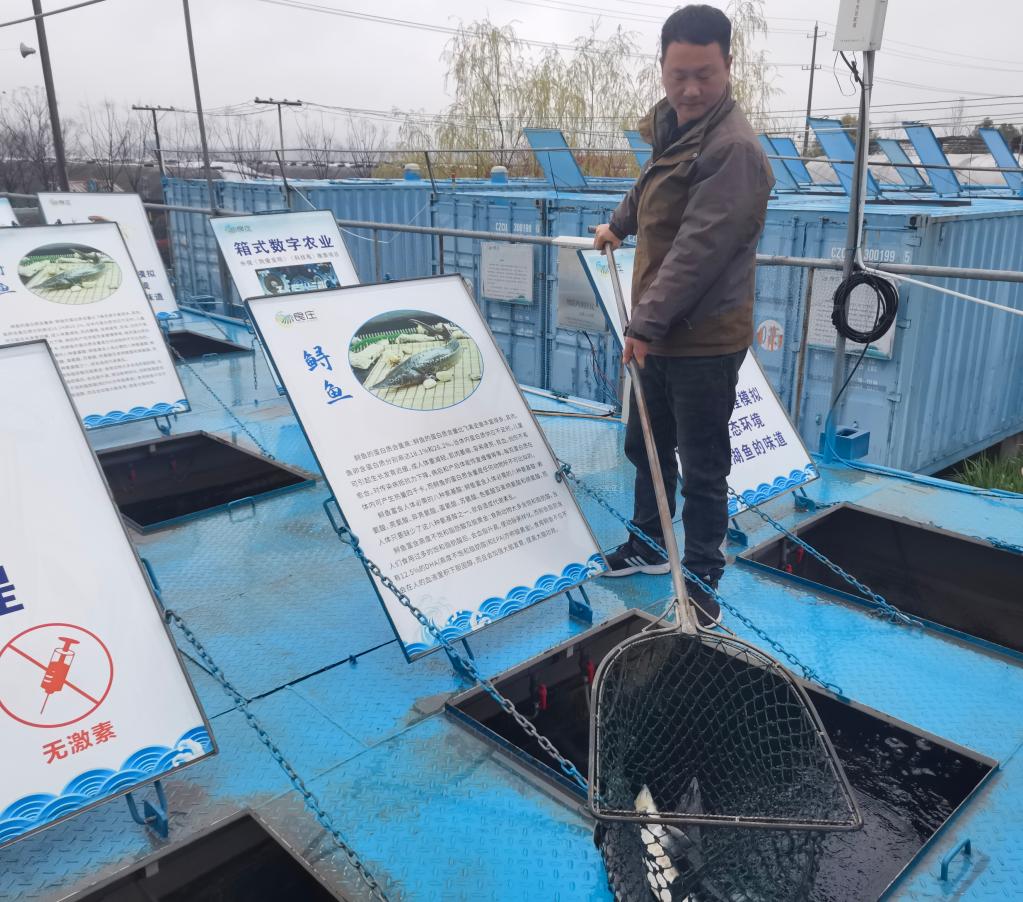 新華全媒+丨科學(xué)種糧·智能育菇·數(shù)字養(yǎng)魚——一個(gè)國家現(xiàn)代農(nóng)業(yè)示范區(qū)的轉(zhuǎn)型見聞