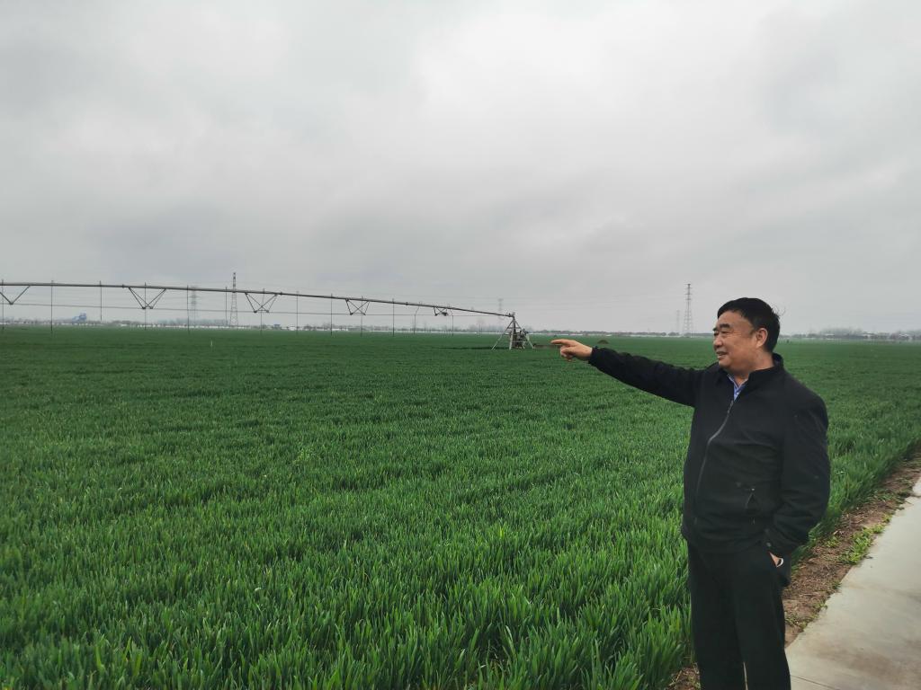 新華全媒+丨科學(xué)種糧·智能育菇·數(shù)字養(yǎng)魚——一個(gè)國家現(xiàn)代農(nóng)業(yè)示范區(qū)的轉(zhuǎn)型見聞