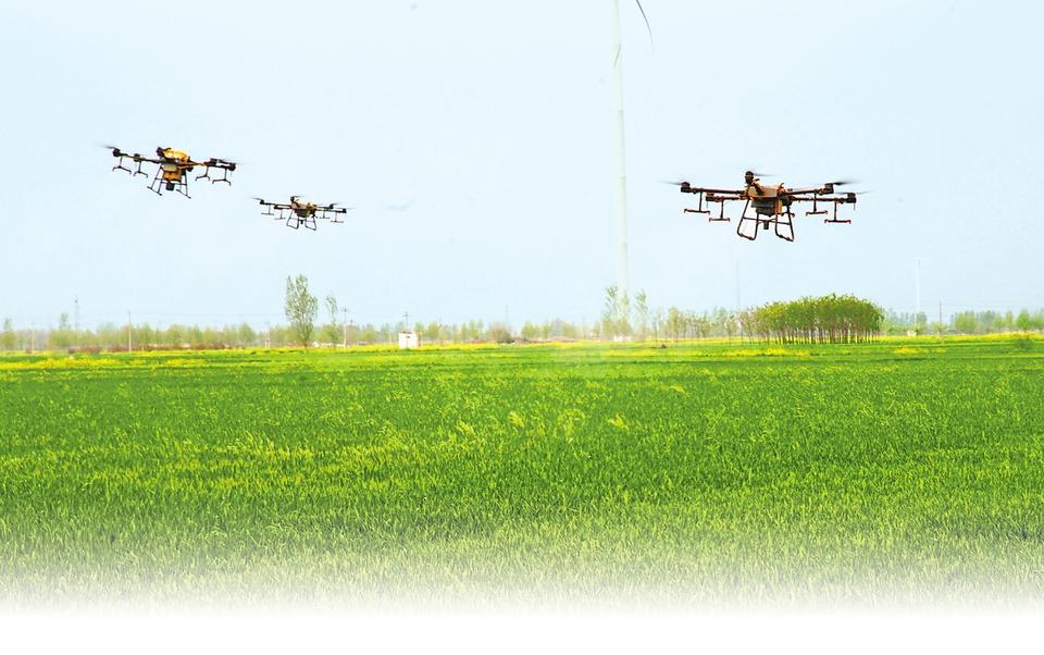 春耕春管正當(dāng)時丨抓住有利時機(jī) 打好小麥赤霉病防控這一仗