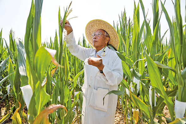 種業(yè)知識產(chǎn)權(quán)保護(hù)再出實(shí)招