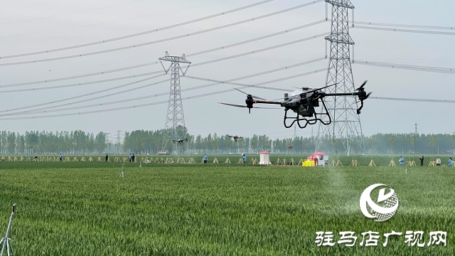 駐馬店市小麥重大病蟲害統(tǒng)防統(tǒng)治現(xiàn)場會(huì)相繼召開