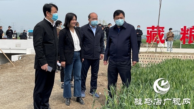 駐馬店市小麥重大病蟲害統(tǒng)防統(tǒng)治現(xiàn)場會(huì)相繼召開