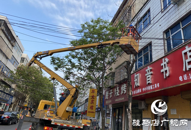 清理枯樹(shù)解民憂 熱線盡責(zé)安民心