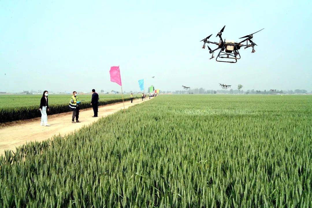 夏天要來了，立夏時節(jié)的專屬農(nóng)事、美食知多少？