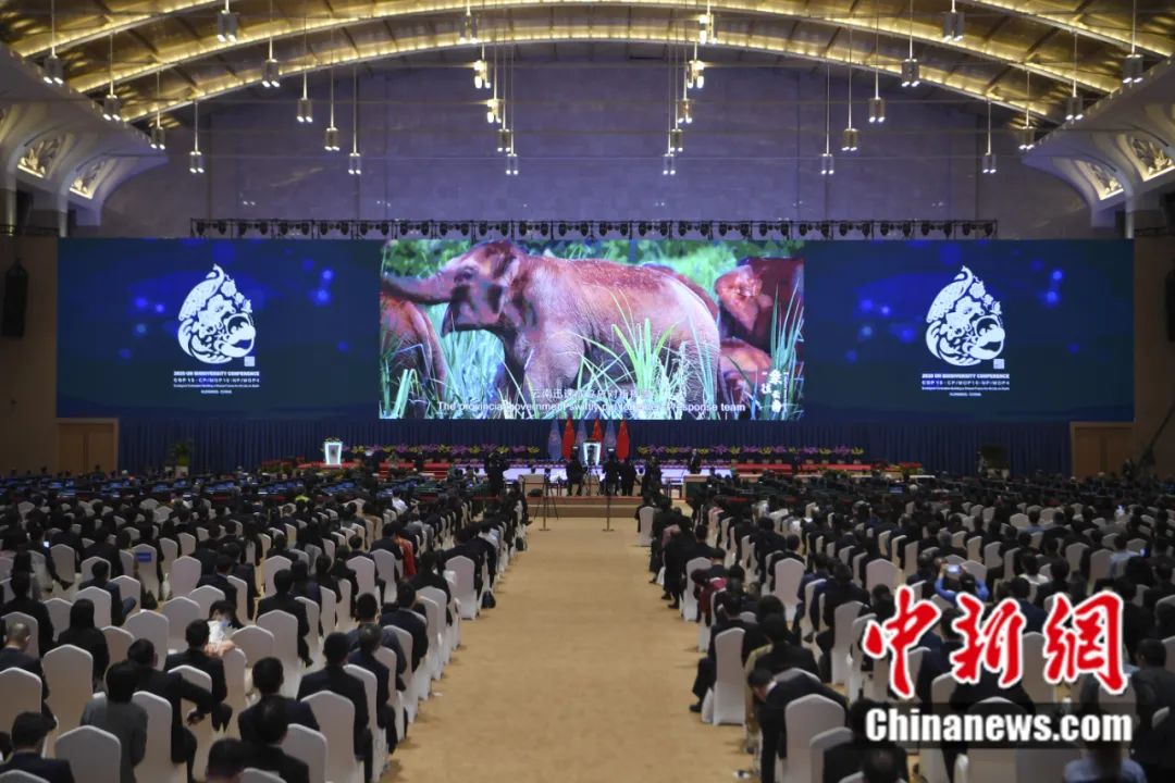 東西問丨李振基：保護生物多樣性，中國虞衡制度告訴了我們什么？