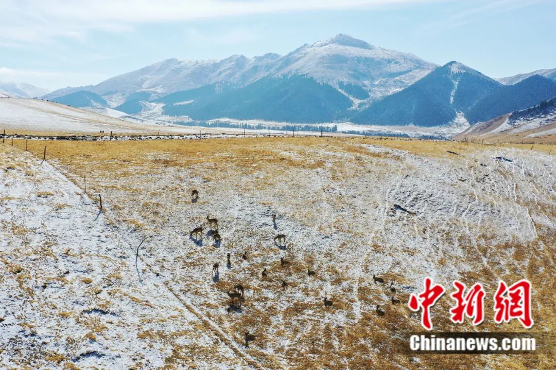 東西問丨李振基：保護生物多樣性，中國虞衡制度告訴了我們什么？