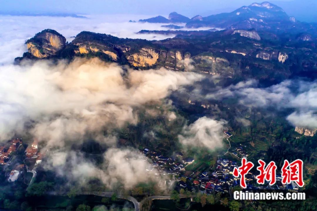 東西問丨李振基：保護(hù)生物多樣性，中國虞衡制度告訴了我們什么？