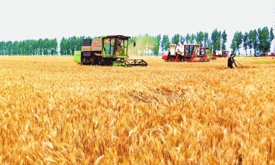 非常之年戰(zhàn)三夏丨5萬張跨區(qū)作業(yè)證、79.8萬輛載貨車輛…… 保障農(nóng)資農(nóng)機運輸順暢