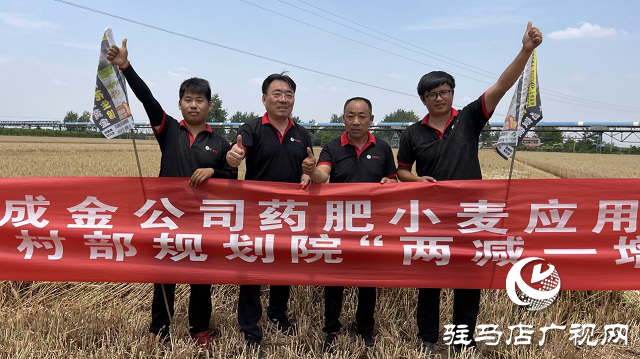 “撒成金藥肥”創(chuàng)造高產(chǎn)新紀(jì)錄——實(shí)測畝產(chǎn)1461.5斤