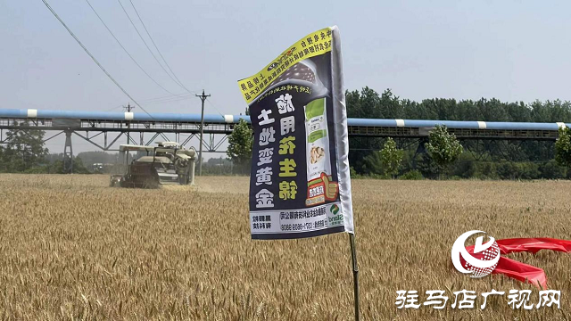 “撒成金藥肥”創(chuàng)造高產(chǎn)新紀(jì)錄——實(shí)測畝產(chǎn)1461.5斤