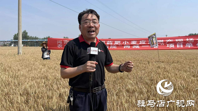“撒成金藥肥”創(chuàng)造高產(chǎn)新紀(jì)錄——實(shí)測畝產(chǎn)1461.5斤