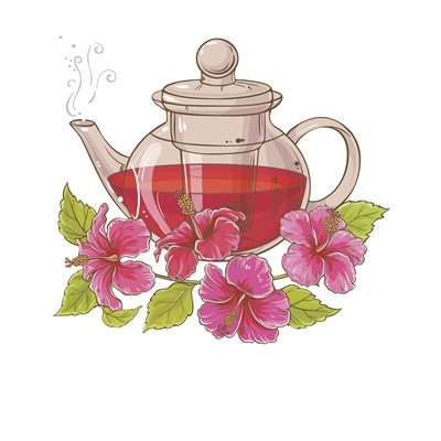 這些降火氣的花草茶 你喝對了嗎？