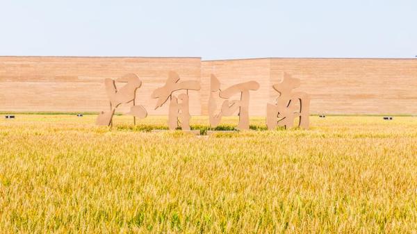 免費(fèi)游玩、國風(fēng)游園、文化大餐……端午節(jié)河南文旅消費(fèi)強(qiáng)勁復(fù)蘇，各大景區(qū)鉚足了干勁兒